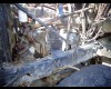 used MACK RD690S